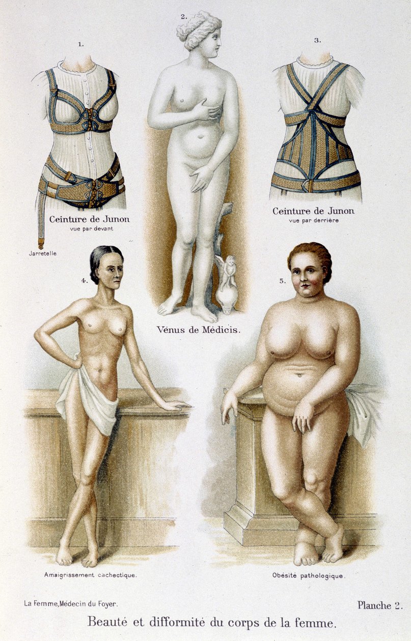 Schönheit und Hässlichkeit des Frauenkörpers (mager und fettleibig); Junos Gürtel - in „Die Frau, Hausärztin“ von Unknown artist