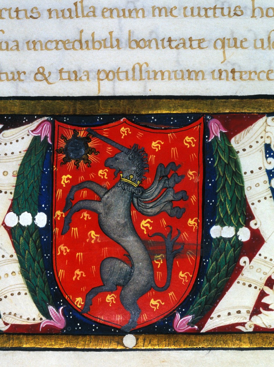Wappen mit einem Einhorn, einem Stern auf rotem Hintergrund. (Detail) von Unknown artist