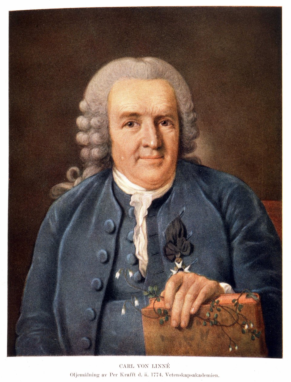 Carl von Linné, schwedischer Naturforscher und Schriftsteller von Unknown artist