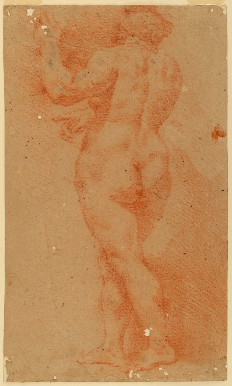 Gegenabdruckstudie einer nackten Frau von Unknown artist