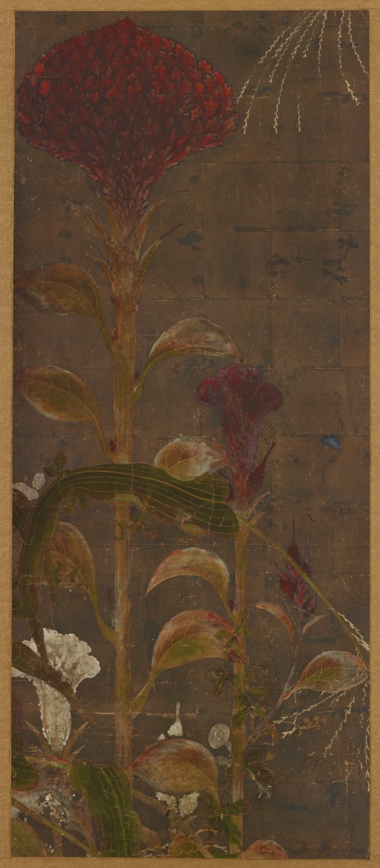 Hahnenkämme, Mais und Prunkwinden von Unknown artist
