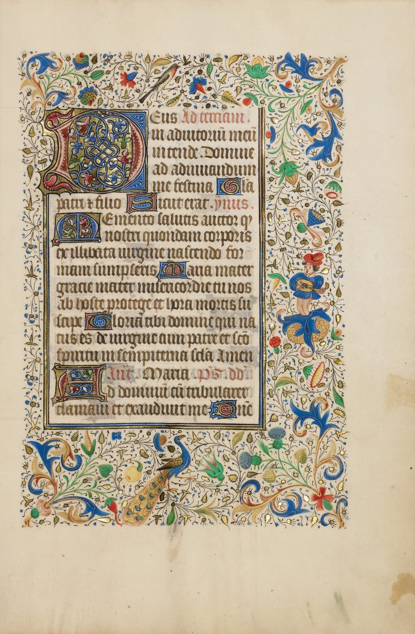 Geschmückte Textseite von Unknown artist