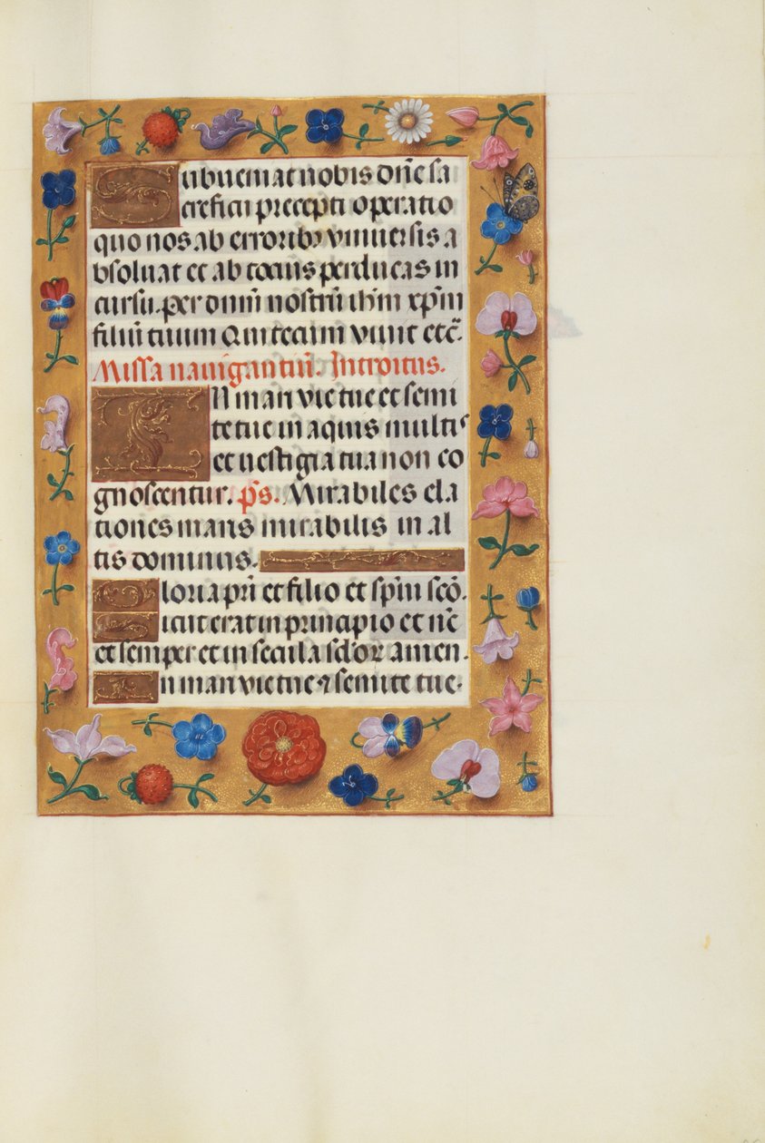Geschmückte Textseite von Unknown artist