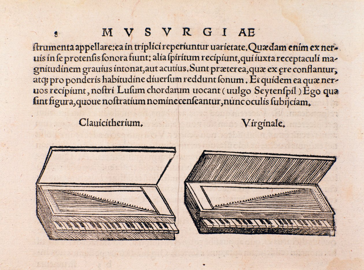 Beschreibung von Cembalo und Spinett. Seite aus Musurgia seu praxis musicae von Unknown artist