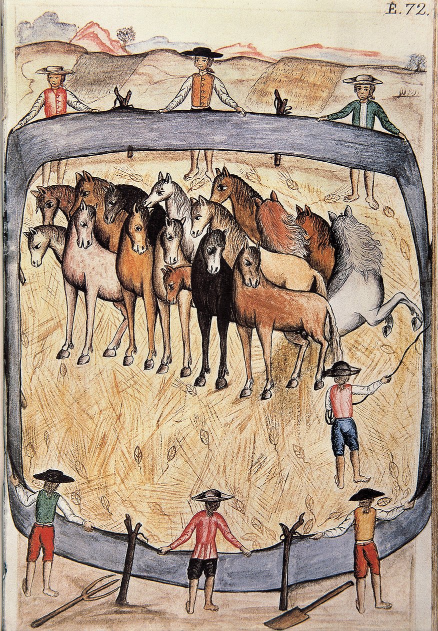 Dressur von Wildpferden, aus dem Buch "Trujillo del Peru" oder "Códice Martínez Compañón", von Baltazar Martinez Compañón y Bujanda, Bischof von Trujillo (1782-1785) von Unknown artist