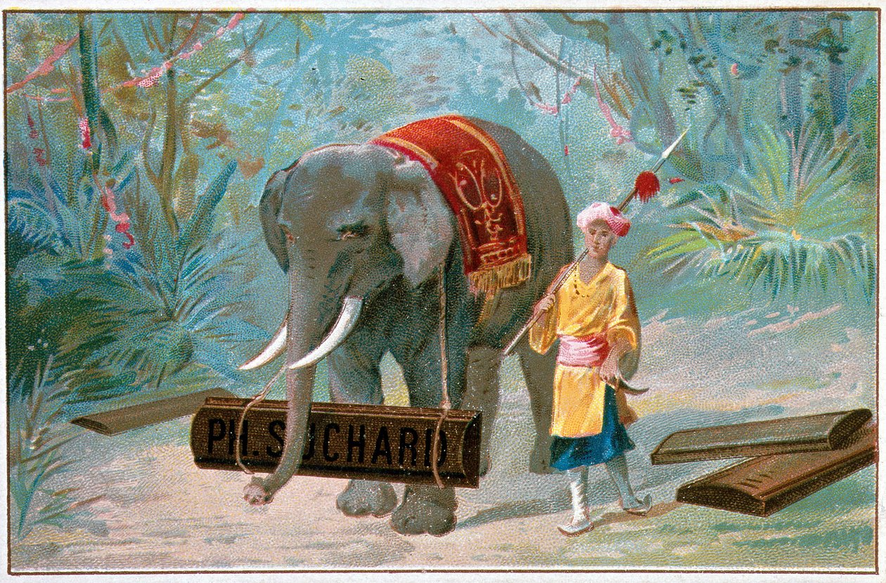 Elefant und Cornac, Werbung „Suchard“, ca. 1895 von Unknown artist