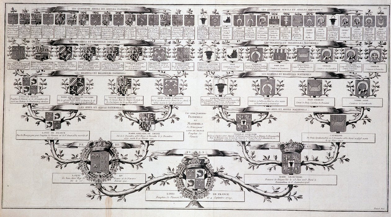 Stammbaum des Dauphins von Frankreich, Sohn von Ludwig XV. und Marie Leczcinski - in „Enzyklopädie“ von Diderot von Unknown artist