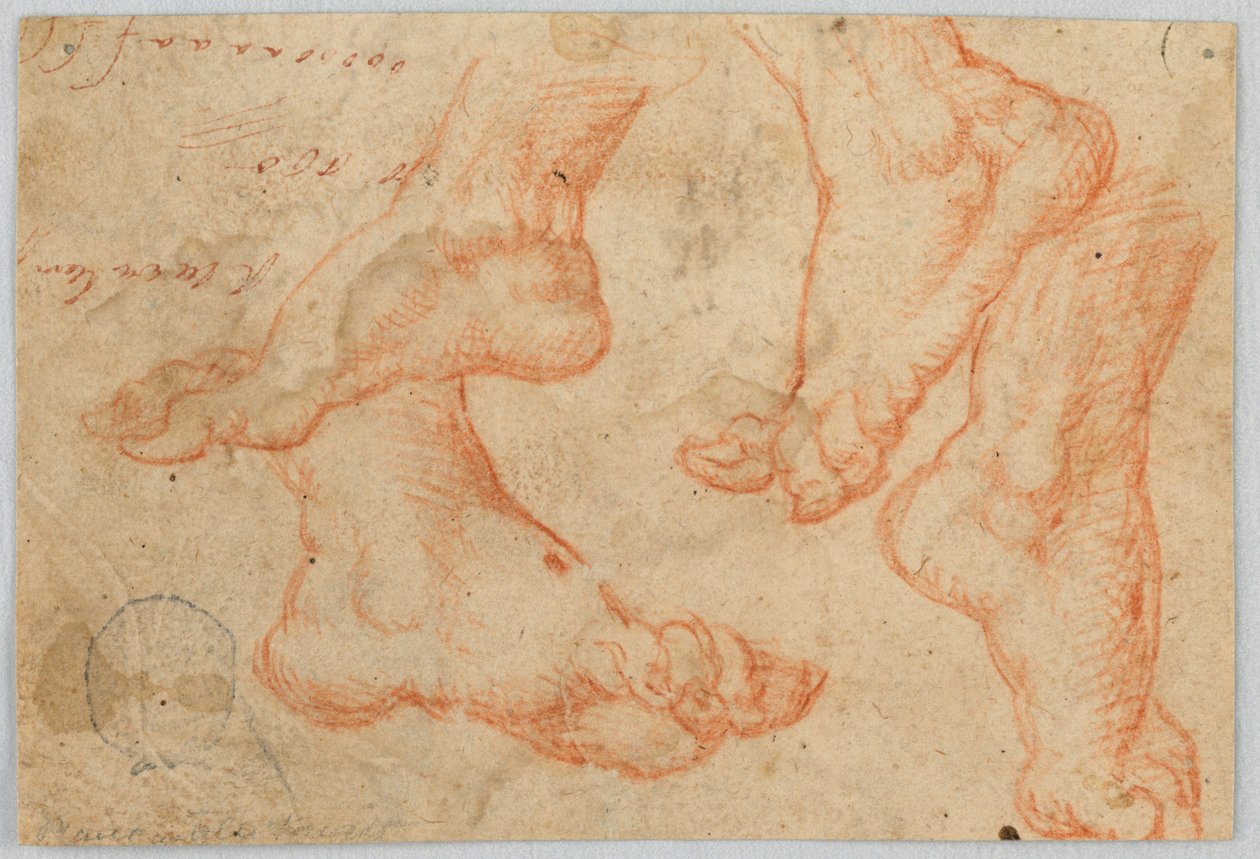 Vier Studien eines Fußes von Unknown artist