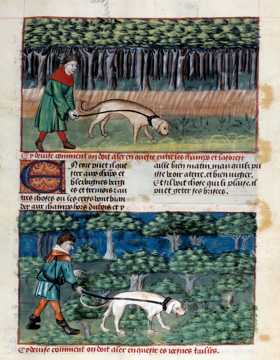 Wie man Hunde führt Miniatur aus „Das Buch der Jagd“ von Gaston III Phoebus, Graf von Foix, Herr von Béarn (1331-1391) von Unknown artist