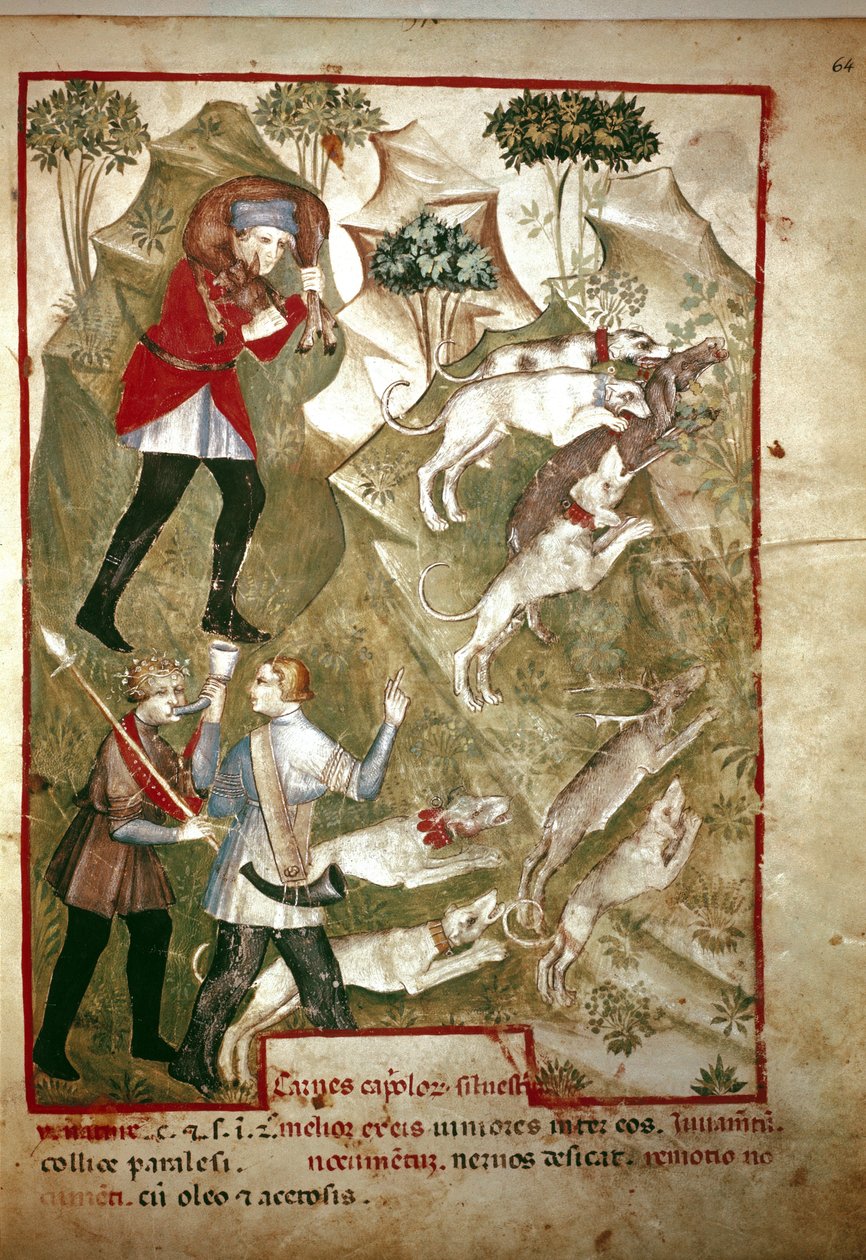 Jagd (Miniatur, 14. Jahrhundert) von Unknown artist