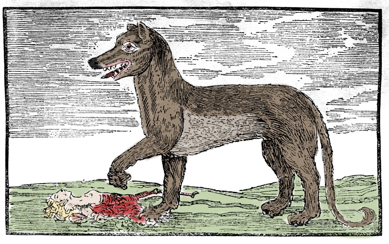 La Bête du Gévaudan, Gravur aus 
