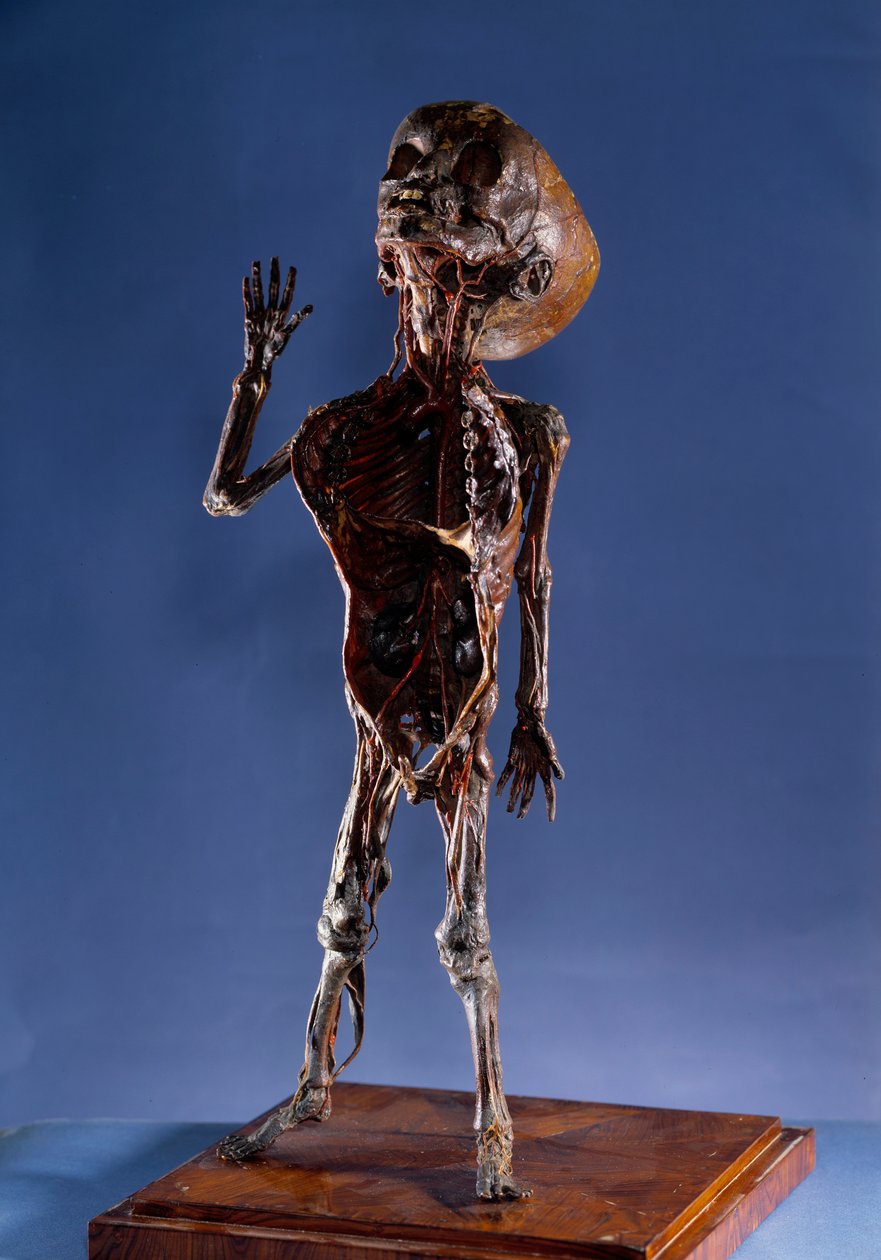 Medizin: Schalenfigur von Unknown artist