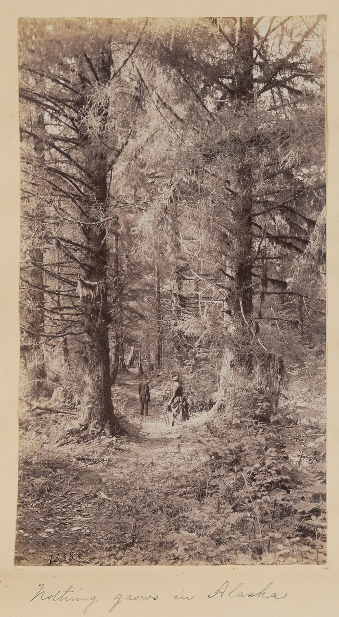 Nichts wächst in Alaska von Unknown artist