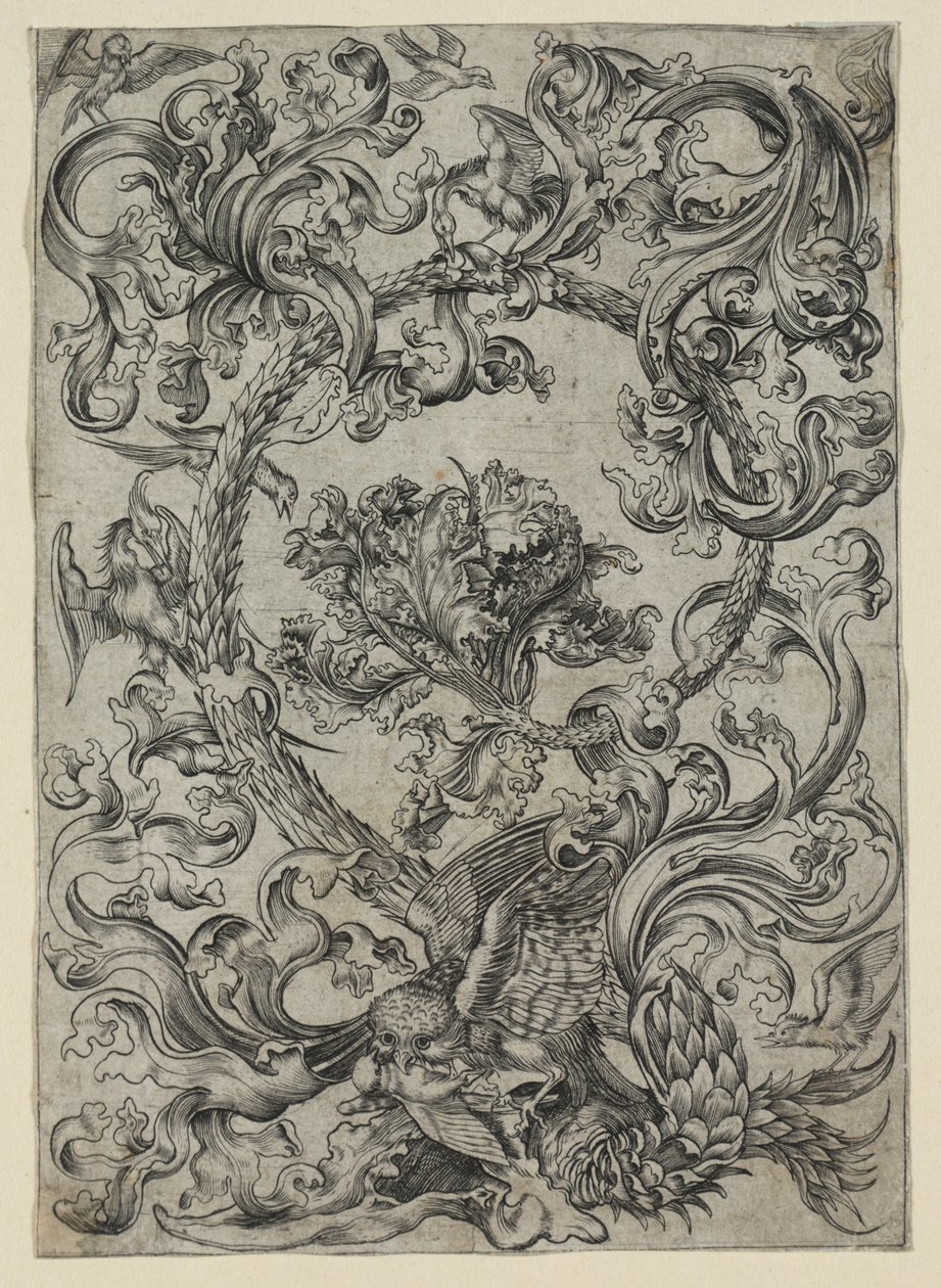 Ornamentales Laubwerk mit einer Eule und anderen Vögeln von Unknown artist