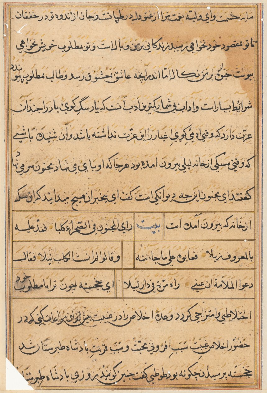 Seite aus Geschichten eines Papageis (Tuti-nama): Textseite von Unknown artist