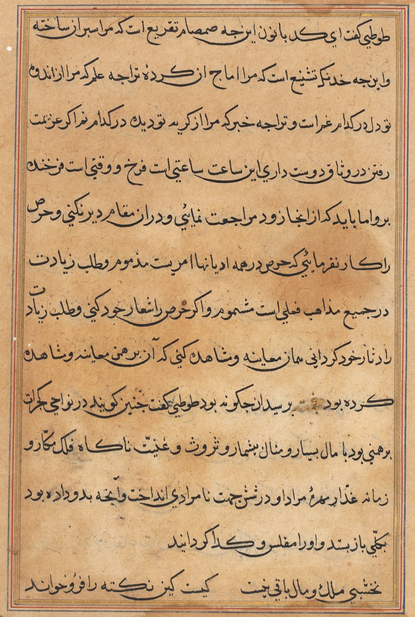 Seite aus Geschichten eines Papageis (Tuti-nama): Textseite von Unknown artist