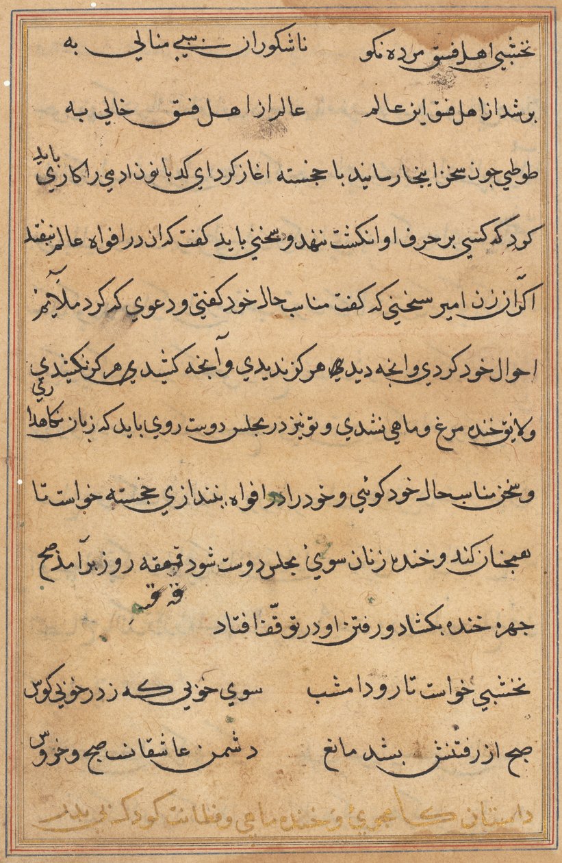 Seite aus Geschichten eines Papageis (Tuti-nama): Textseite von Unknown artist