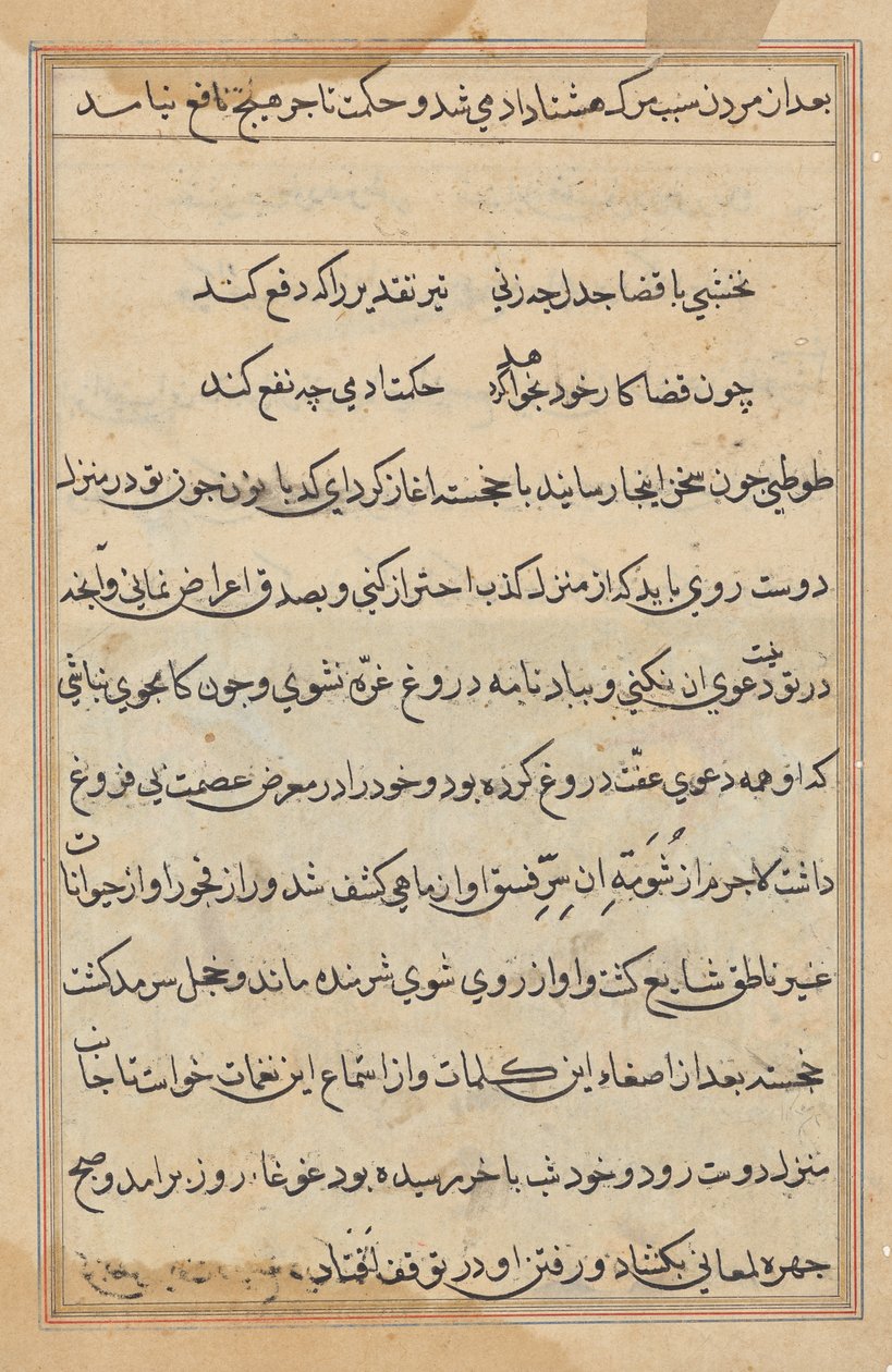 Seite aus Geschichten eines Papageis (Tuti-nama): Textseite von Unknown artist