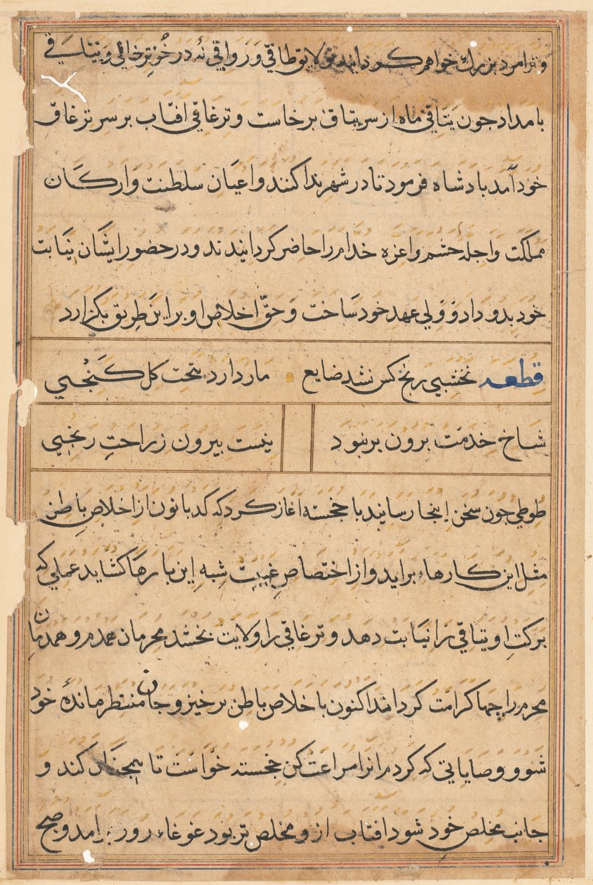Seite aus Geschichten eines Papageis (Tuti-nama): Textseite von Unknown artist