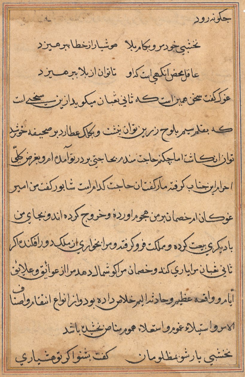 Seite aus Geschichten eines Papageis (Tuti-nama): Textseite von Unknown artist