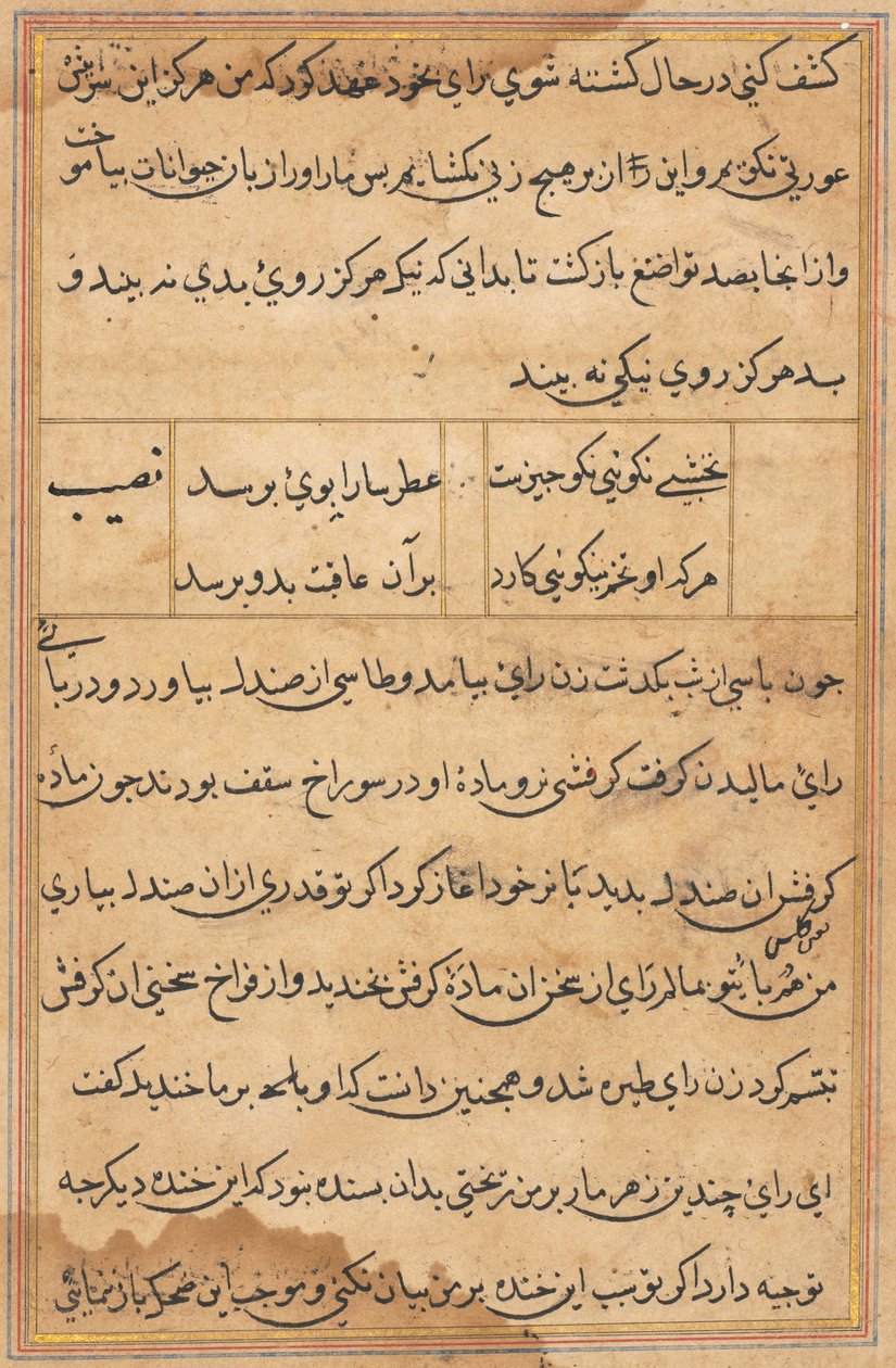 Seite aus Geschichten eines Papageis (Tuti-nama): Textseite von Unknown artist