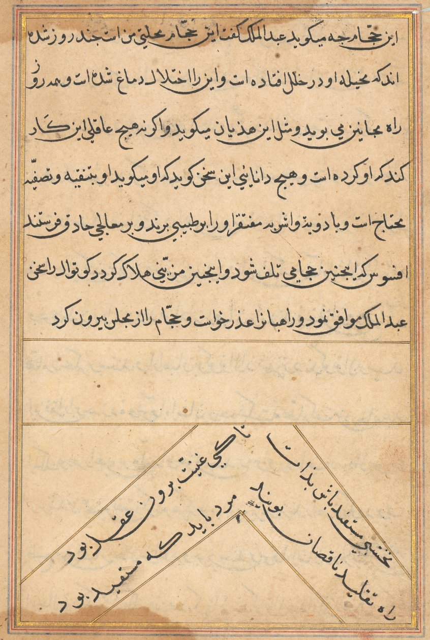 Seite aus Geschichten eines Papageis (Tuti-nama): Textseite von Unknown artist