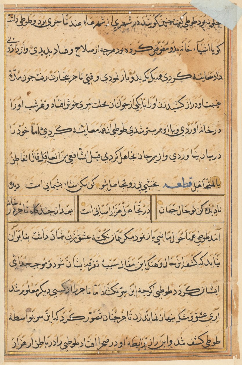 Seite aus Geschichten eines Papageis (Tuti-nama): Textseite von Unknown artist