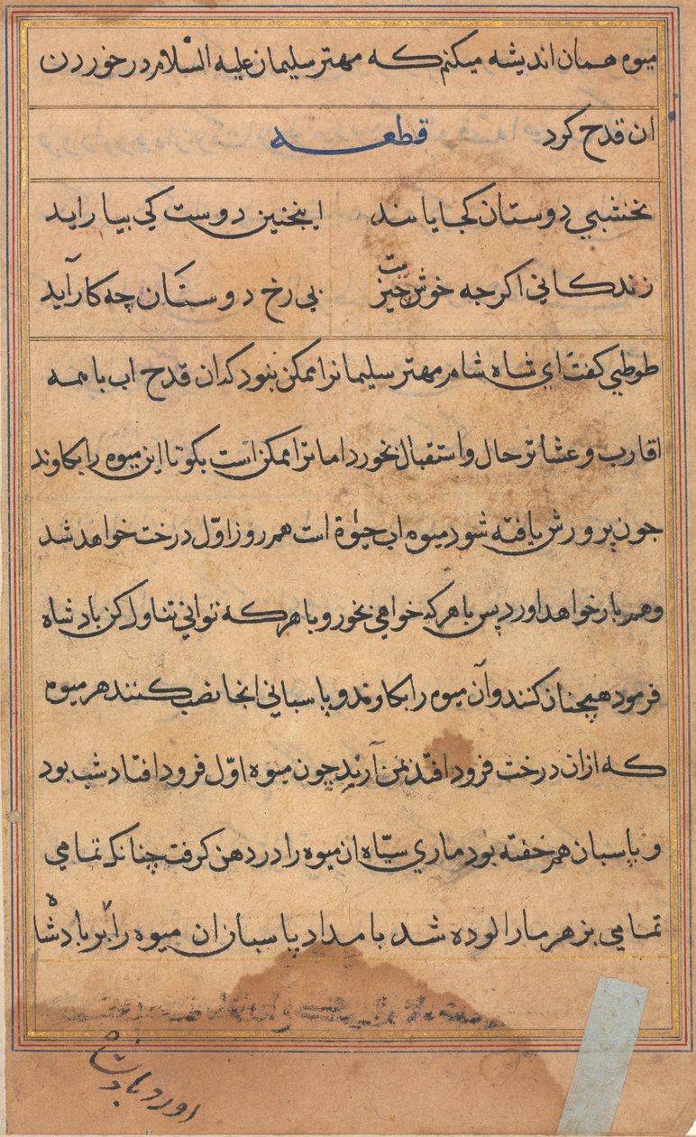 Seite aus Geschichten eines Papageis (Tuti-nama): Textseite von Unknown artist