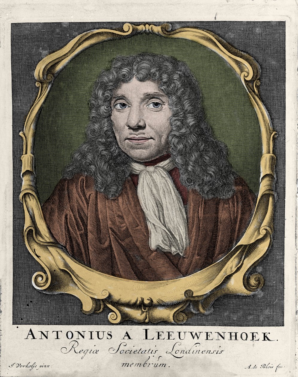 Porträt von Antonie Van Leeuwenhoek, niederländischer Naturforscher. Gravur von 1722 von Unknown artist