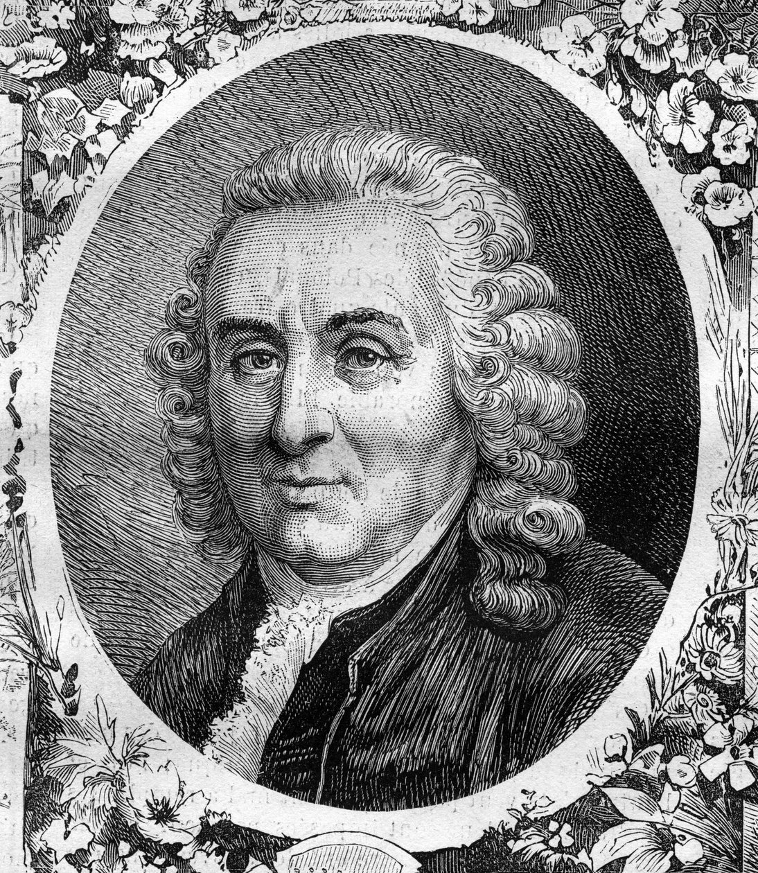 Porträt von Charles Linné (Carl von Linné, Carl Linnaeus) (1707-1778), schwedischer Naturforscher. Gravur von 1878. von Unknown artist