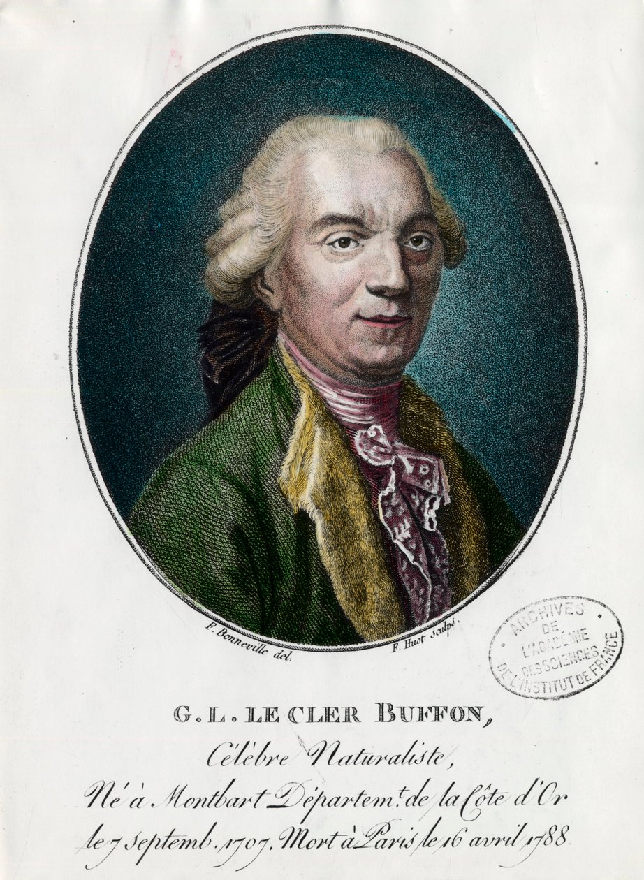 Porträt von George Louis Le Clerc, Graf von Buffon von Unknown artist