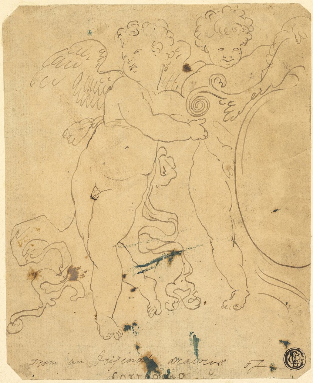 Putti mit Schild von Unknown artist