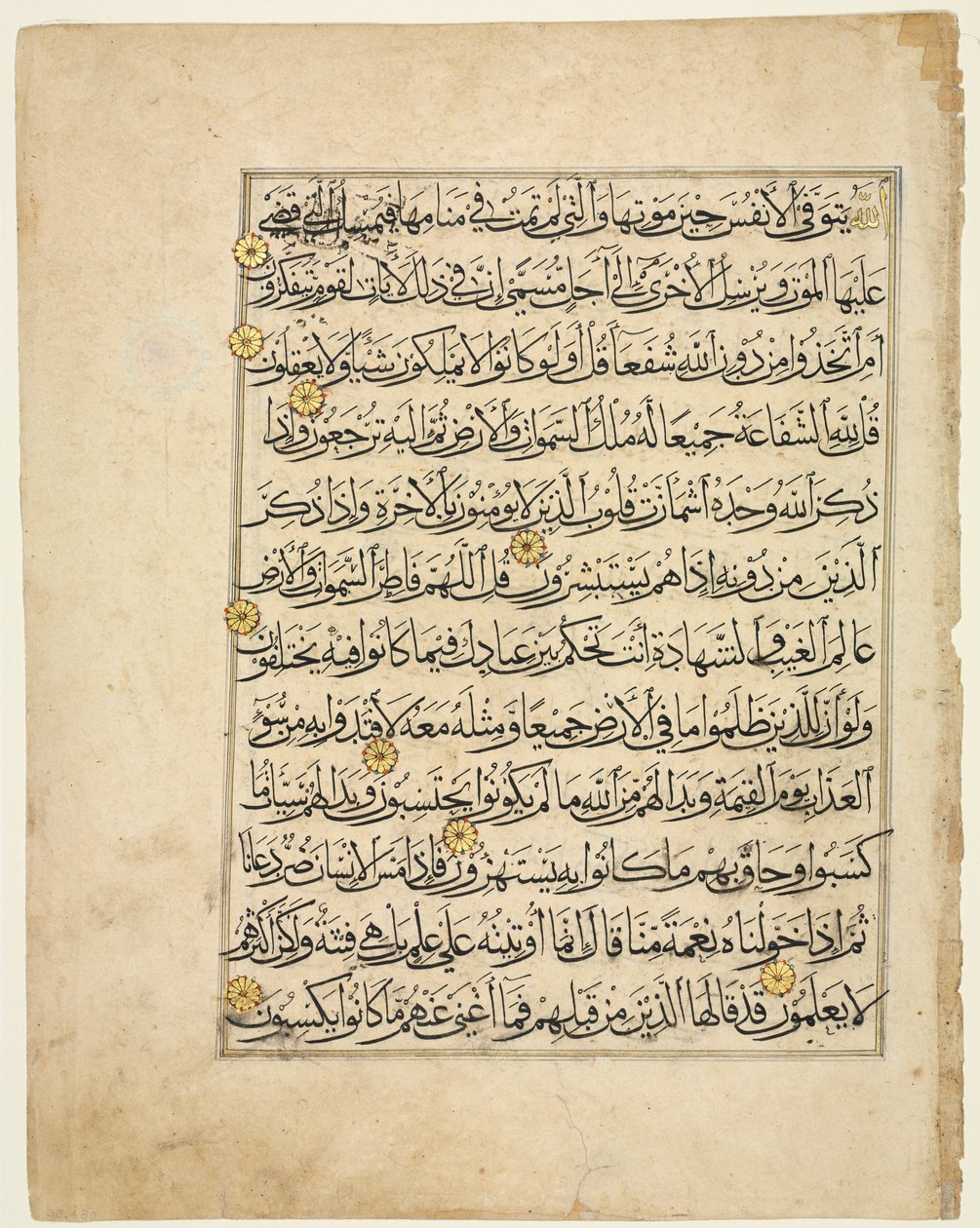 Koran-Manuskript-Folio (Recto) von Unknown artist