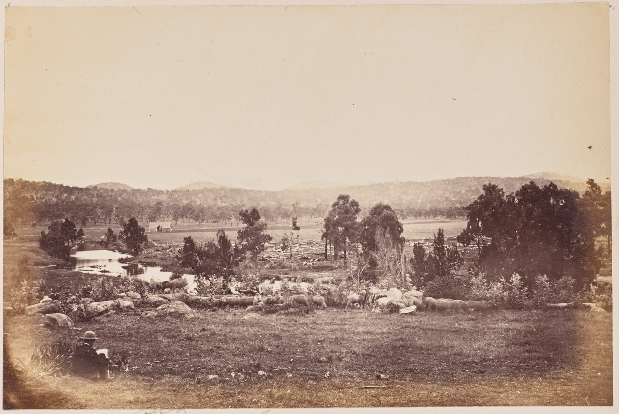 Rangers Valley, Nordosten, Glen Innes von Unknown artist
