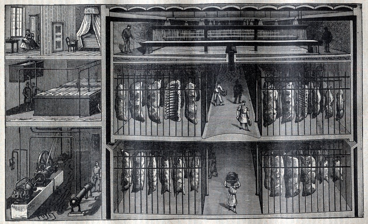 Kühlräume für Fleisch - Gravur aus „La Science française“ von Unknown artist