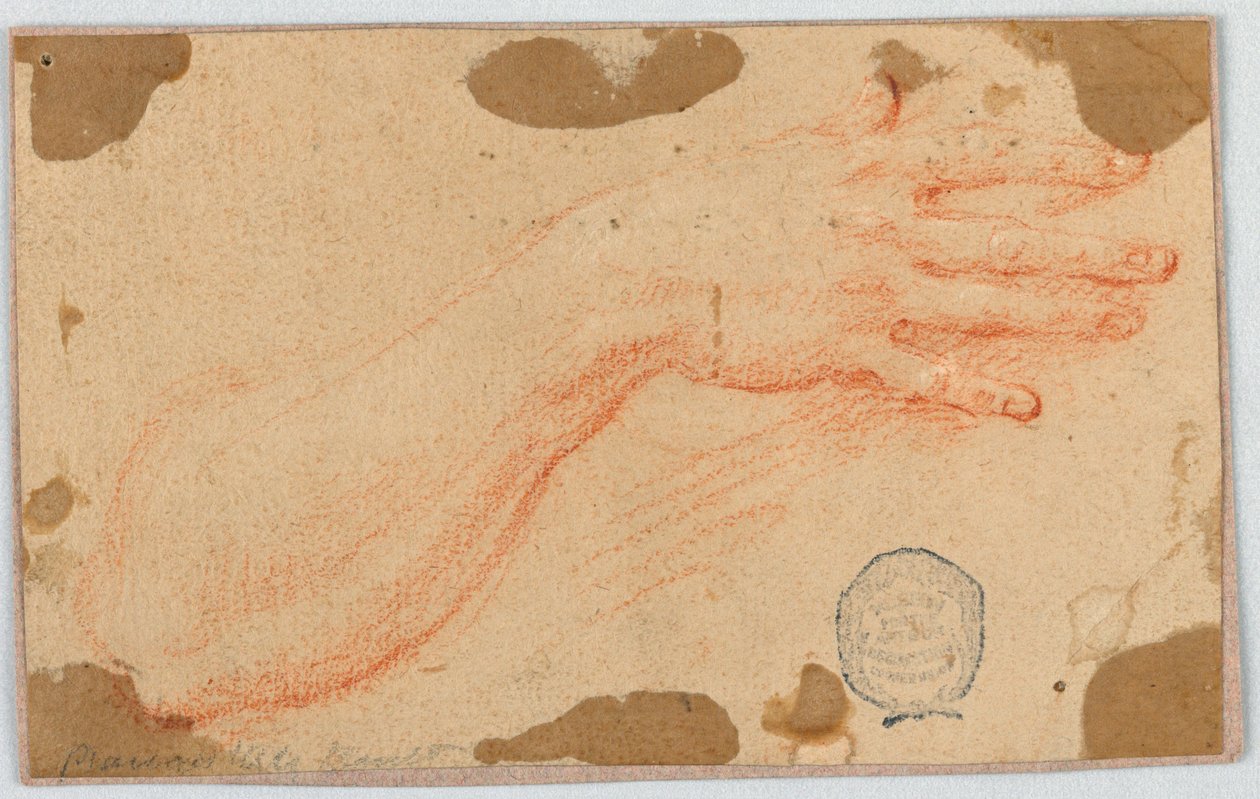 Studie für den rechten Unterarm und die Hand einer Frau von Unknown artist