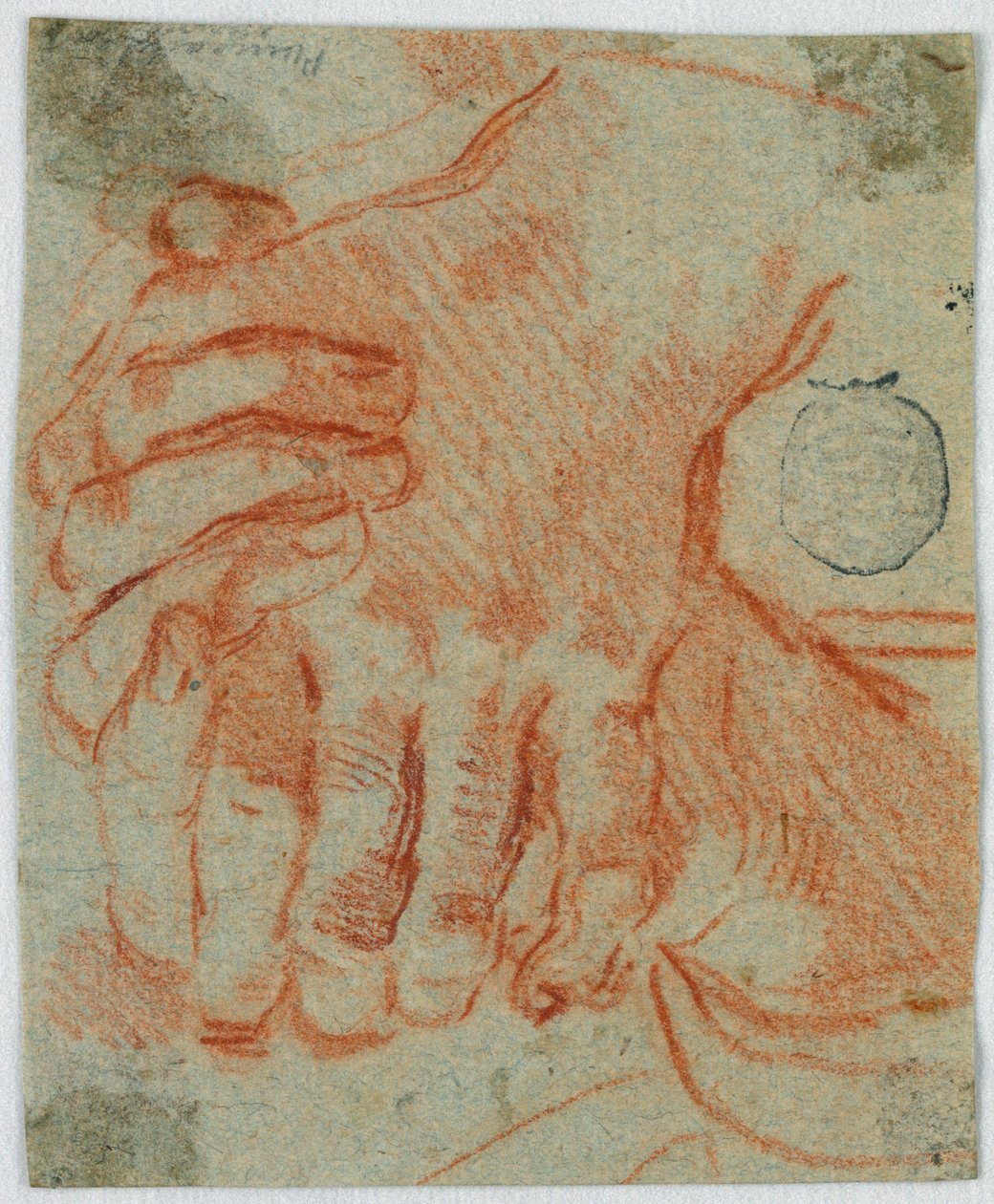 Studie der geschlossenen Hände einer Frau von Unknown artist