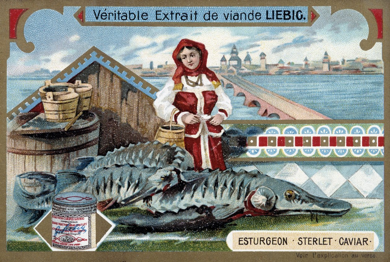 Stör, Sterlet, Kaviar, mit einer jungen Frau, die Eimer hält, vor einer russischen Stadt - Liebig Chromolithographie von Unknown artist