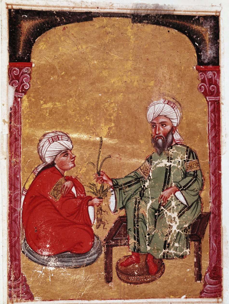 Der Arzt und Botaniker Pedanius Dioscorides (40-90 n. Chr.) sitzt mit einem seiner Schüler. Miniatur aus seinem Traktat „De materia medica“ (ms Ahmed III, 2147, Folio 217a) 1229. Topkapi Sarayi Museum Bibliothek, Istanbul von Unknown artist