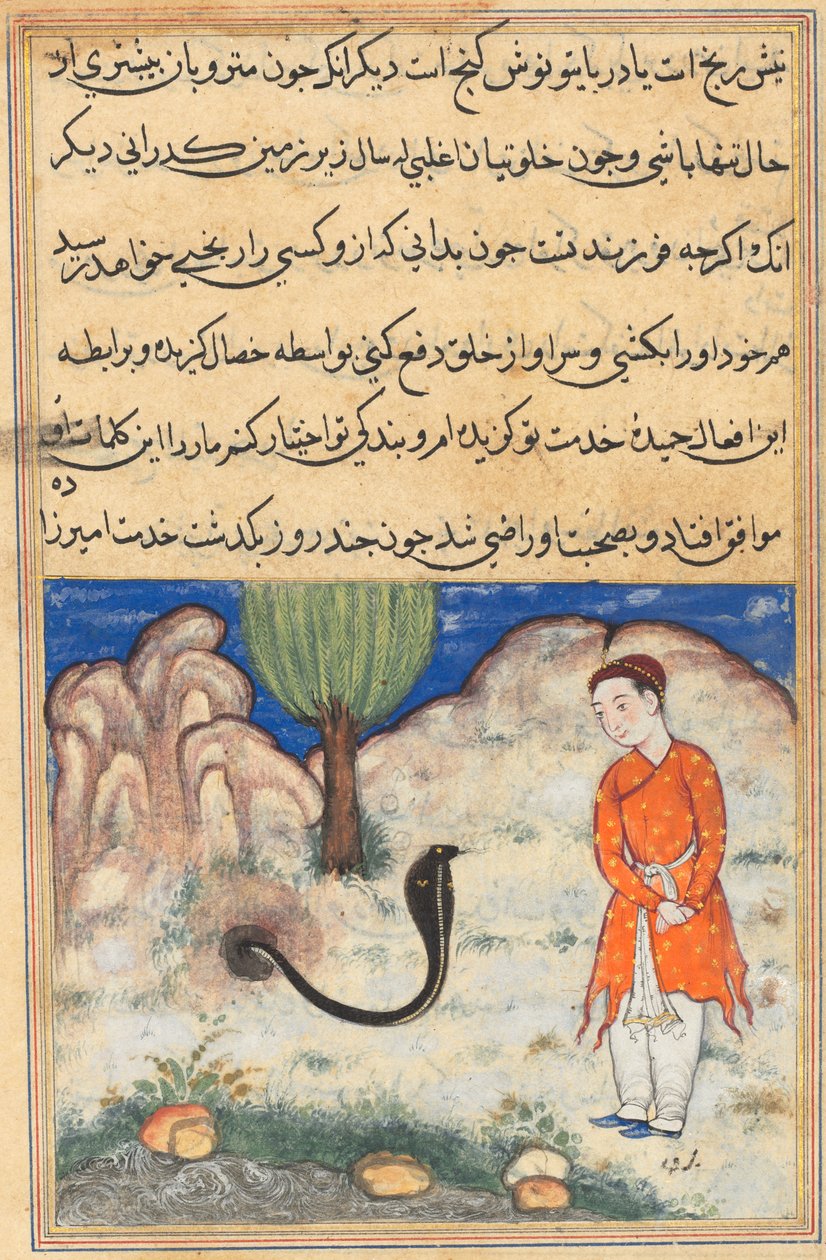 Der Prinz, ein Sohn des Herrschers von Sistan, tritt in den Dienst einer Schlange, aus einem Tuti-nama (Geschichten eines Papageis): Siebenunddreißigste Nacht von Unknown artist
