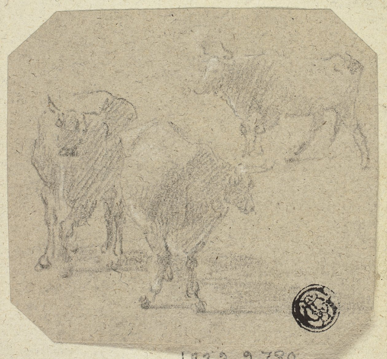 Drei Kühe von Unknown artist