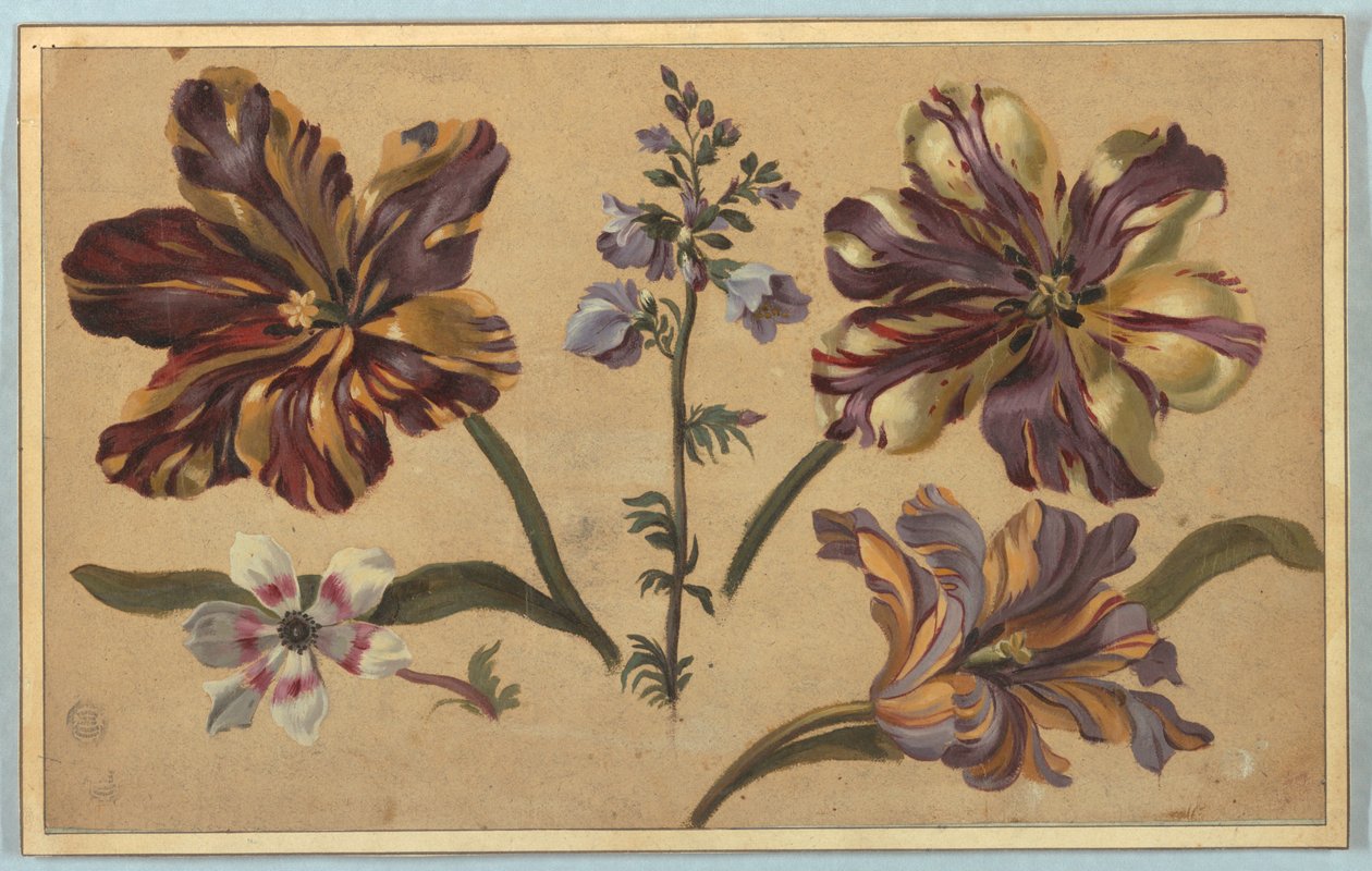 Verschiedene Blumen von Unknown artist