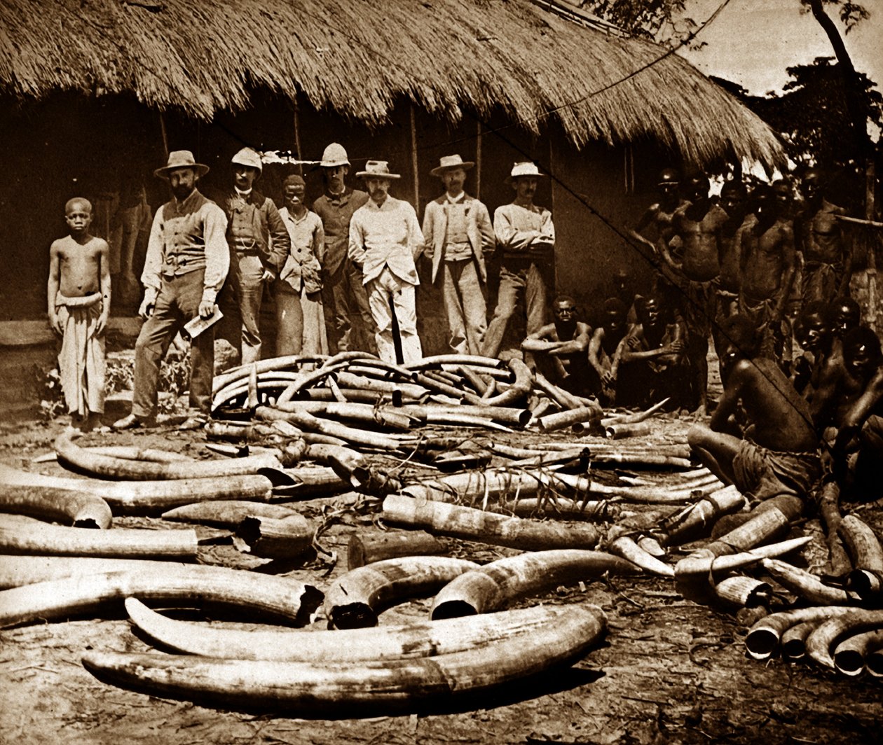 Belgische koloniale Elfenbein Jagd von Unknown photographer