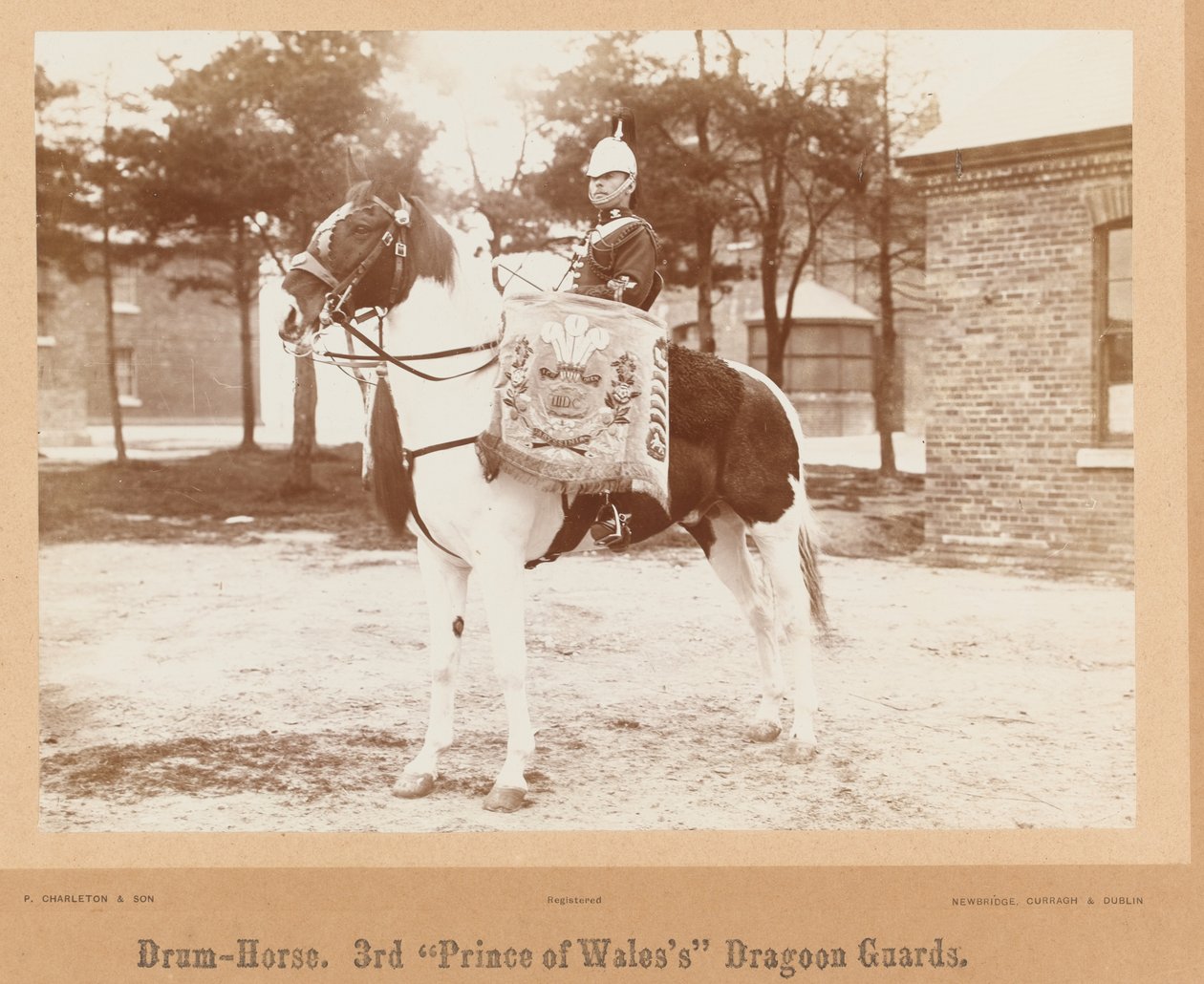 Trommelpferd, 3. Dragonerwache des Prinzen von Wales, um 1895 von Unknown photographer
