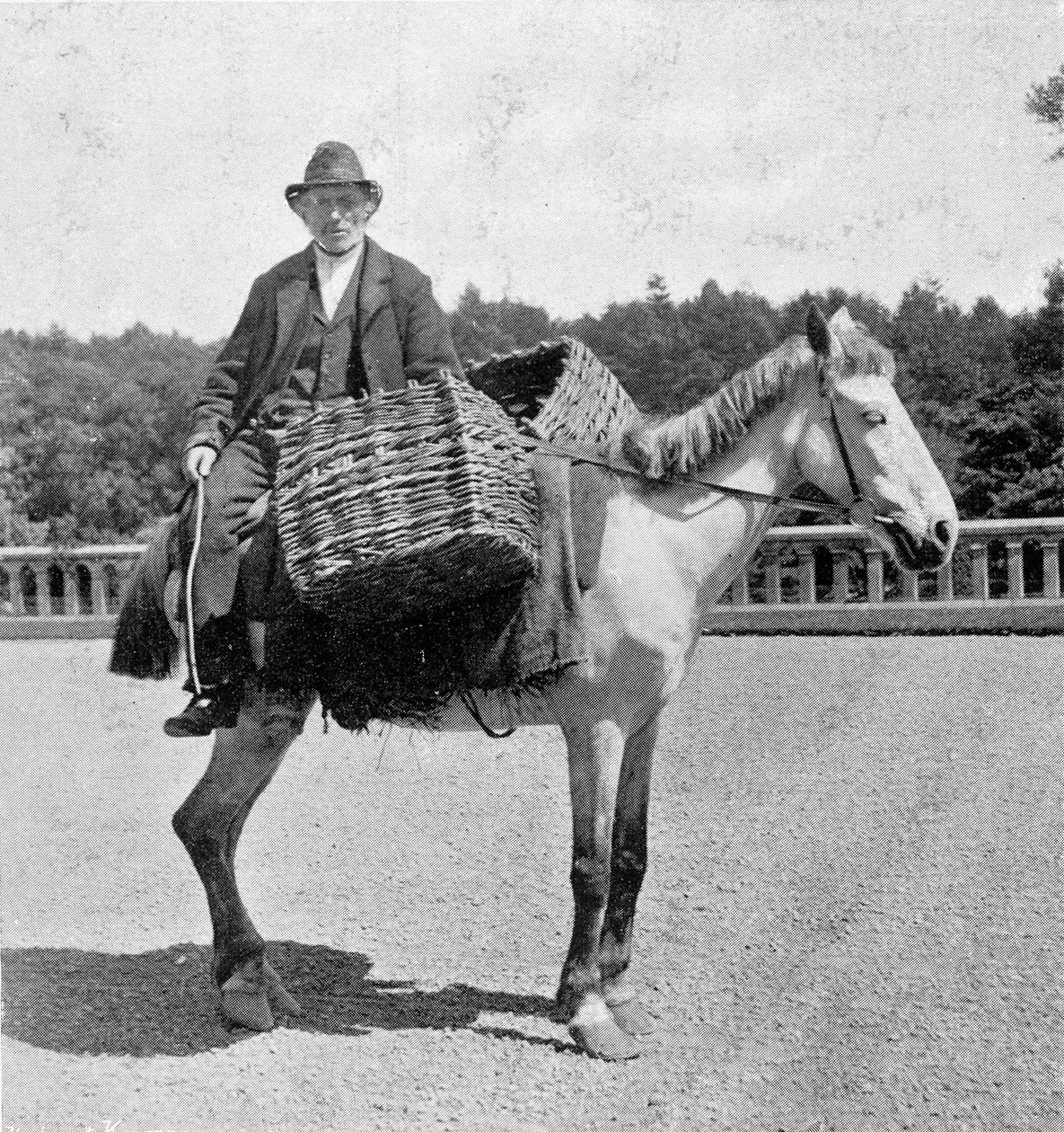 Ire auf seinem Pferd (19. Jahrhundert) von Unknown photographer