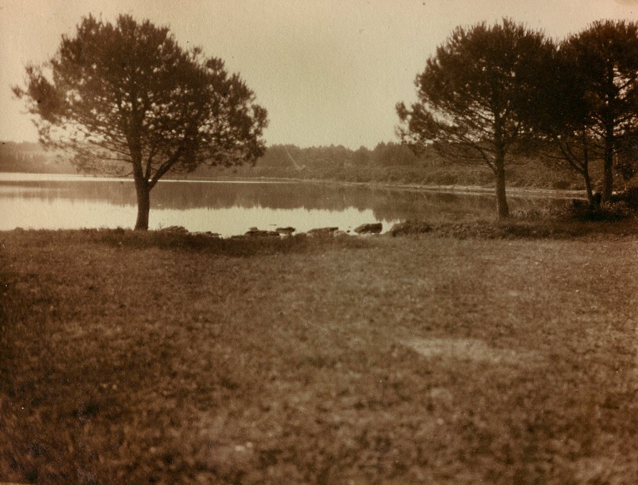 Landschaft auf den Brijuni-Inseln von Unknown photographer