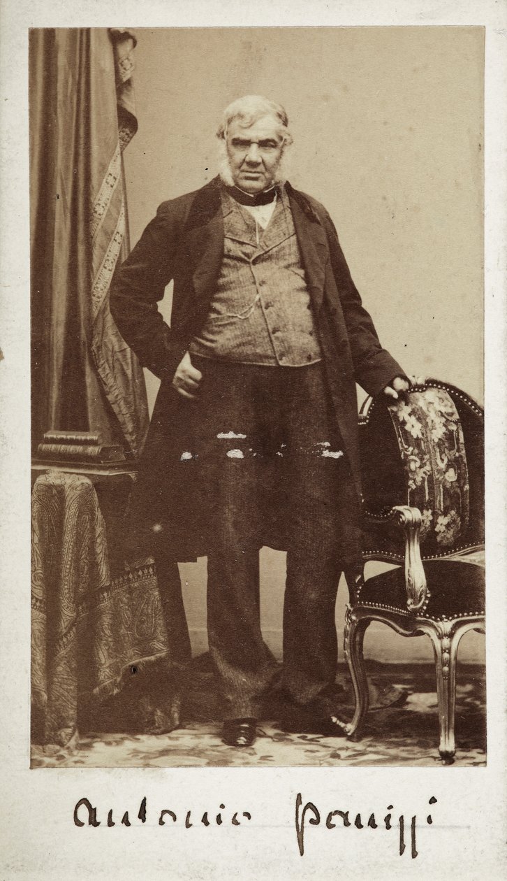 Porträt von Senator Antonio Panizzi (1797-1879), Direktor der Bibliothek des British Museum von Unknown photographer