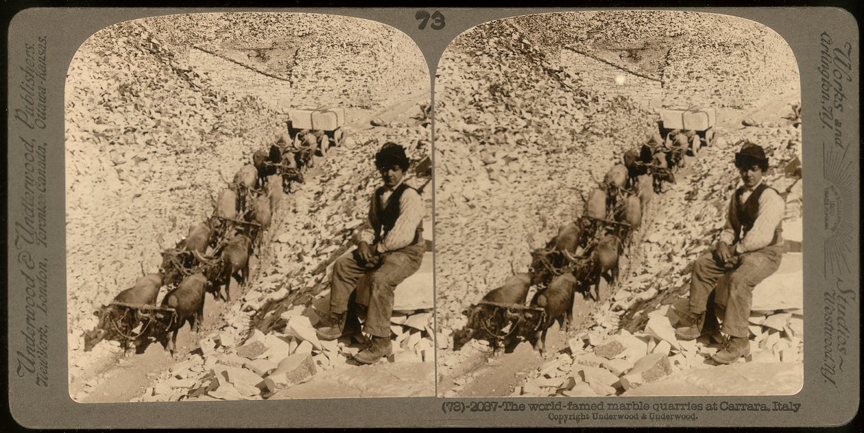 Porträt eines Jungen in den berühmten Marmorbrüchen von Carrara; Stereoskopische Fotografie von Unknown photographer