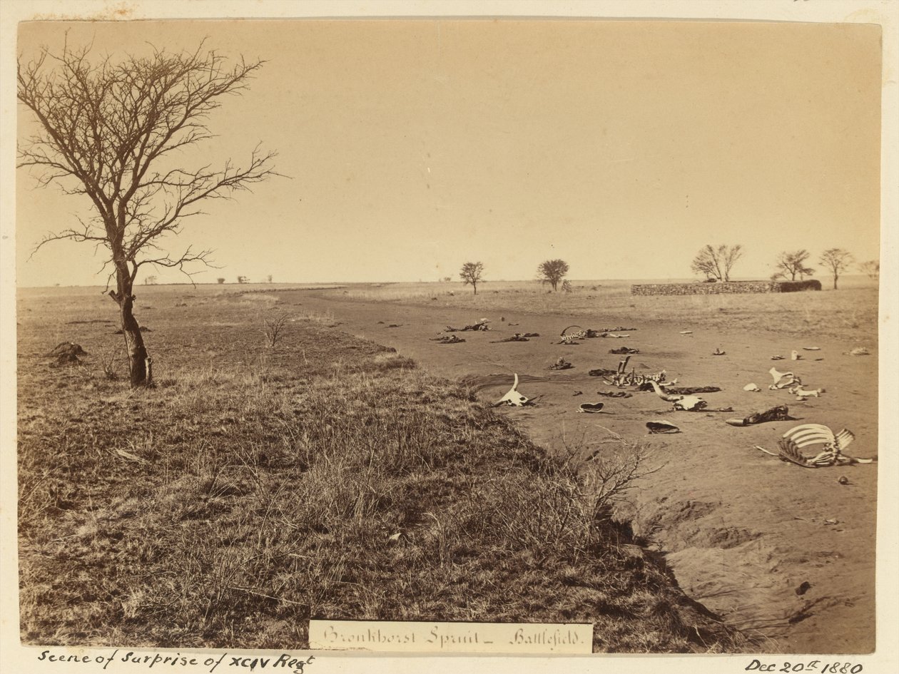 ?Szene der Überraschung des xciv Regiments?, 1881 von Unknown