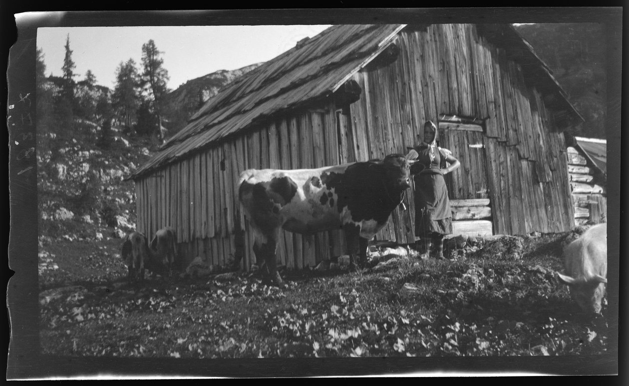 Vorderbachalm mit Almhütte in der Nähe von Gößl am Grundlsee von Unknown photographer